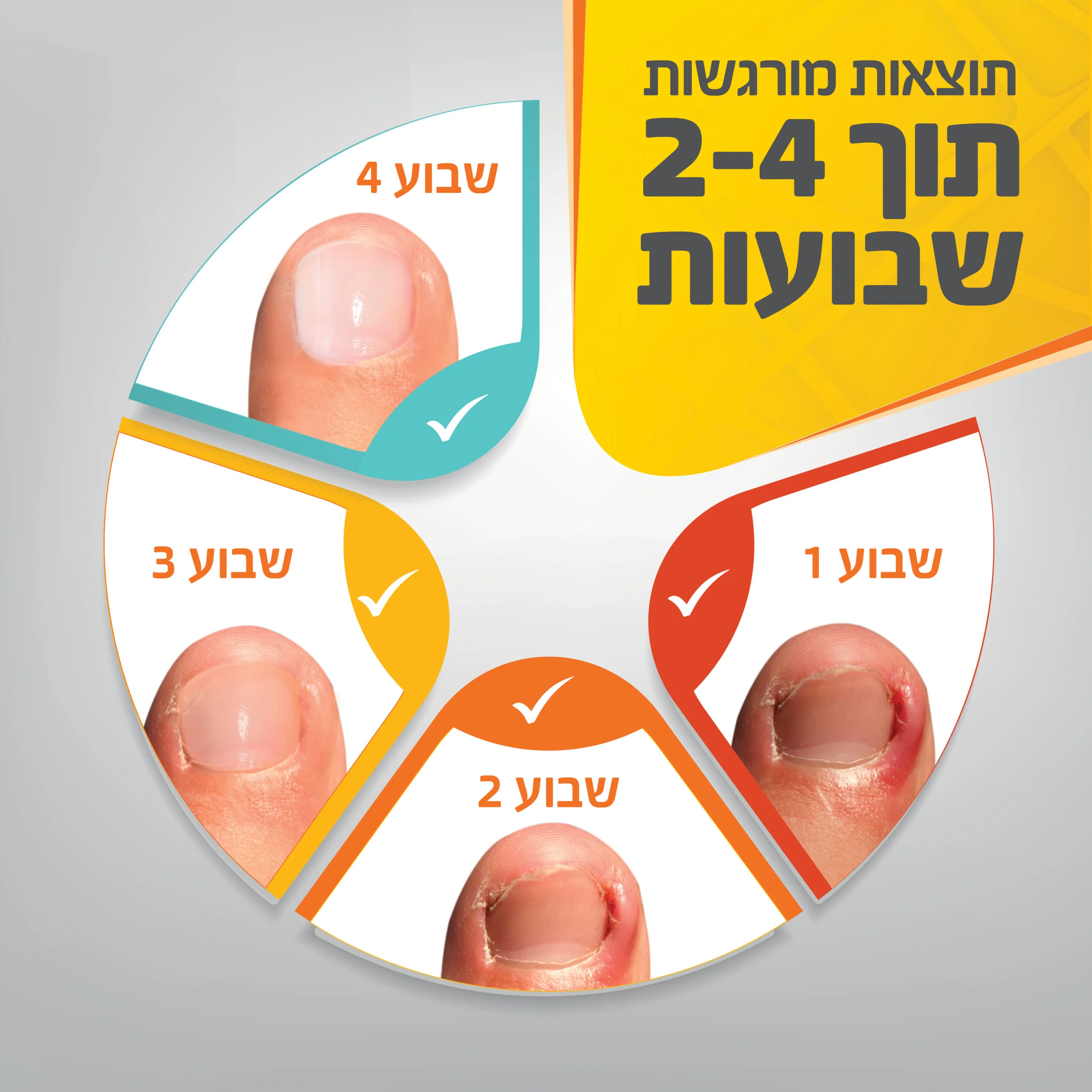 תמונת מוצר 5